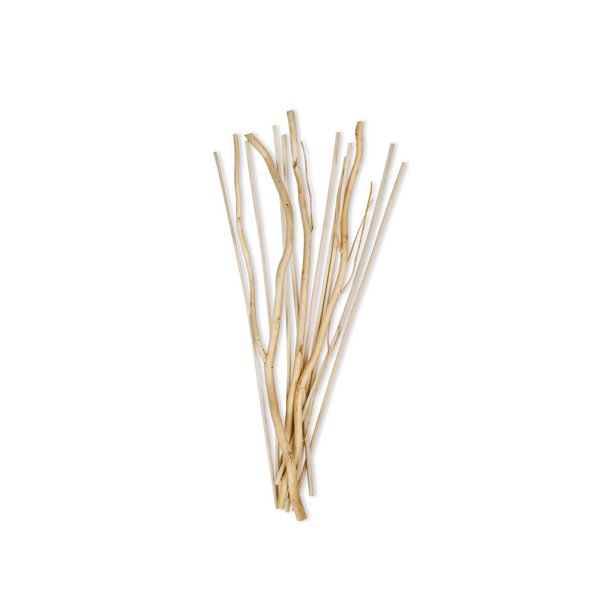 Ensemble de roseaux décoratif - Cucina | Naturel